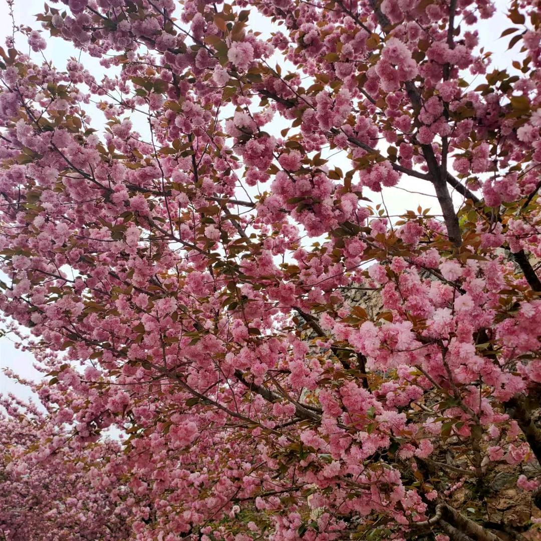 仰望天空的幸福