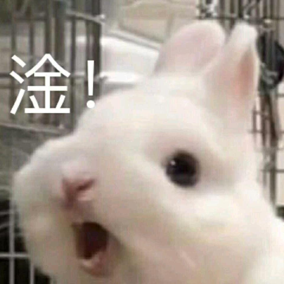 疯狂的阿度