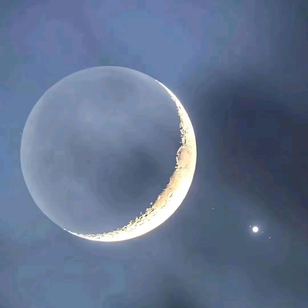 苏炤靖
