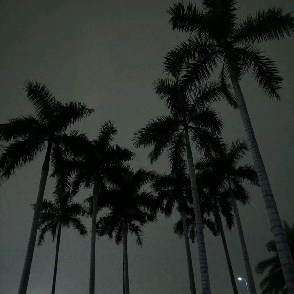 忆念
