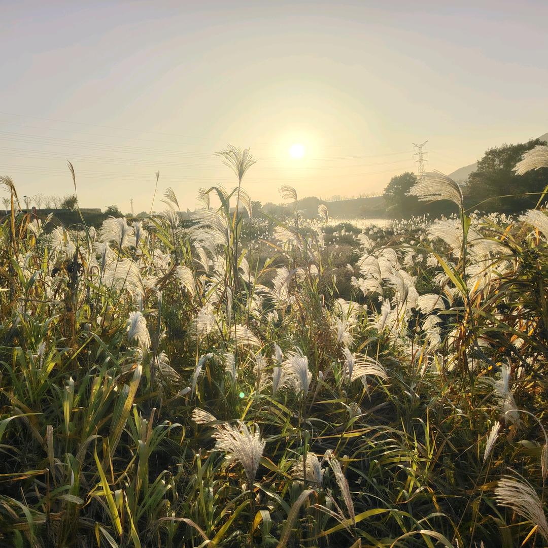 🌈平平安安2113