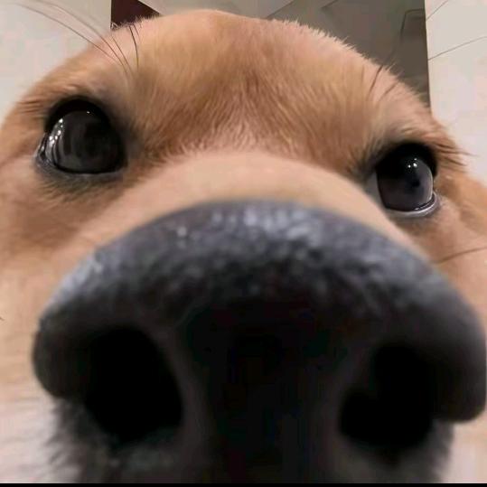 月影