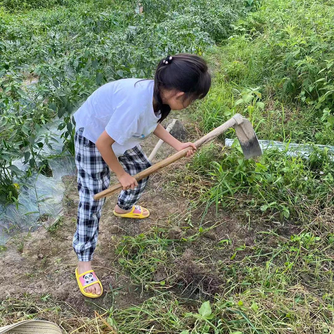 杨二妹
