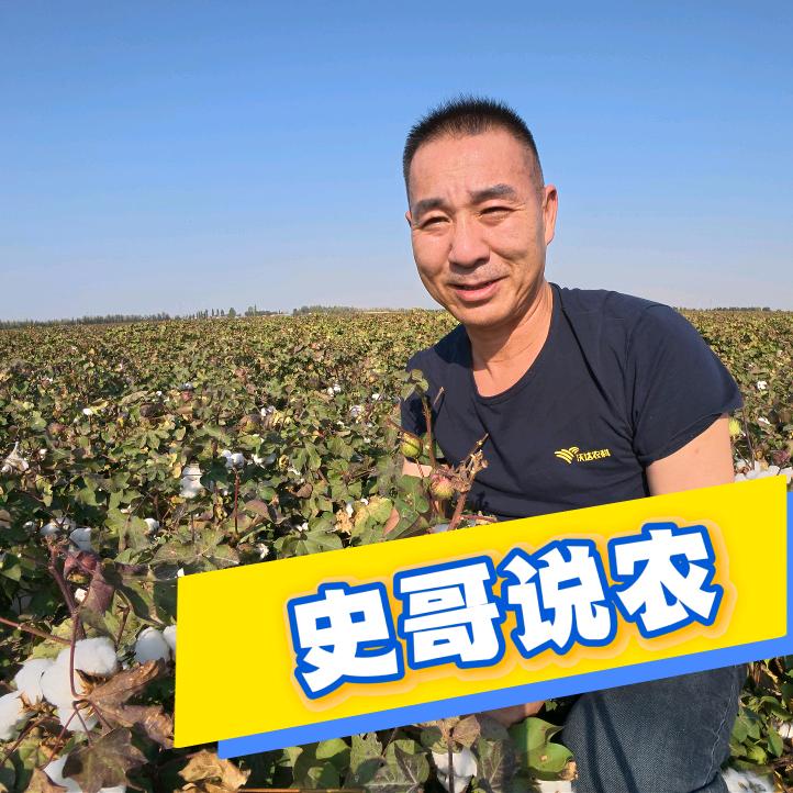 沃达农科·史宏建