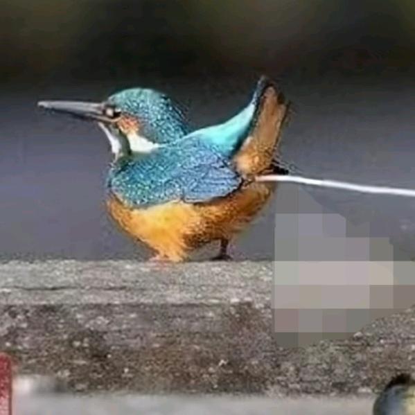 durance枷锁⁶¹⁵²