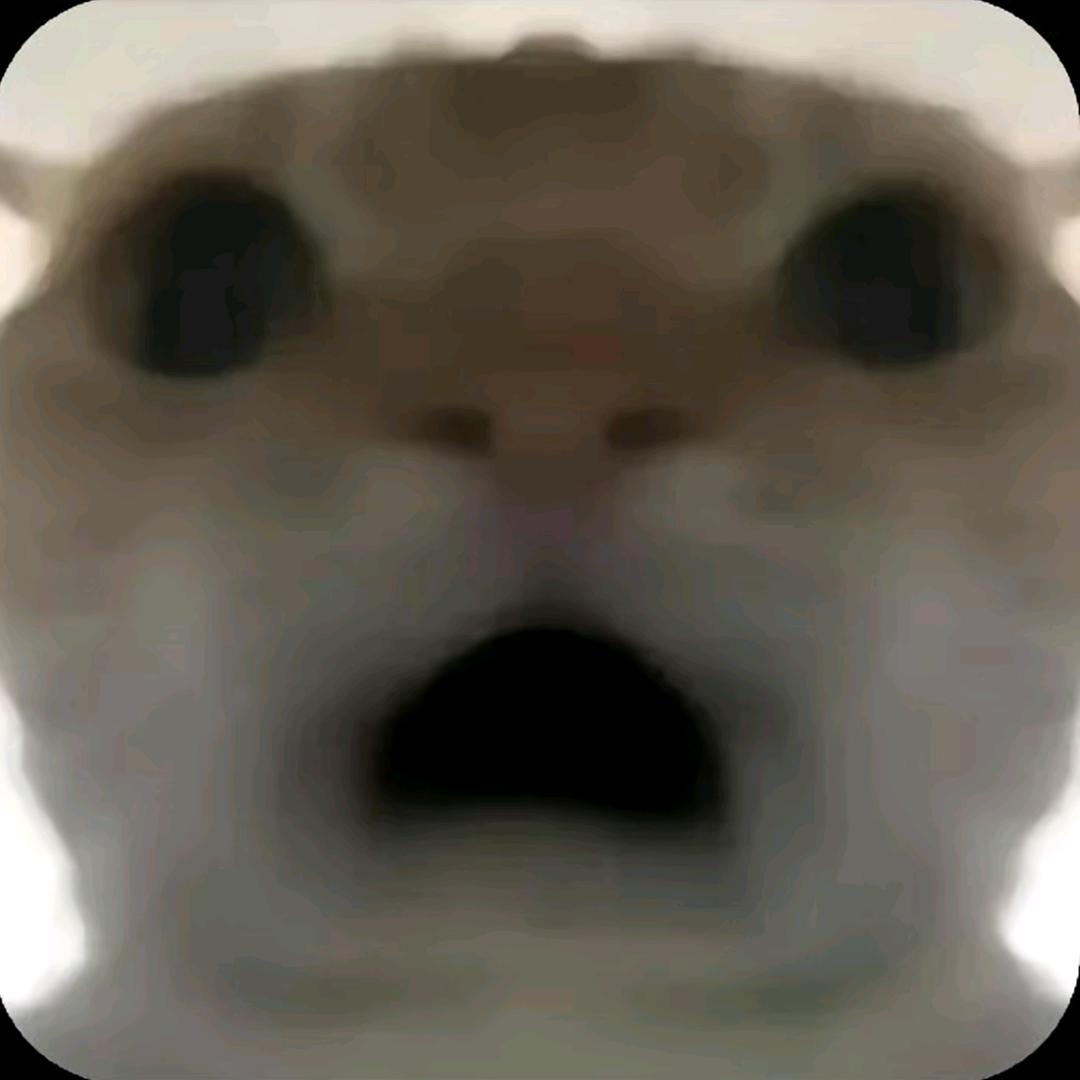 🐱