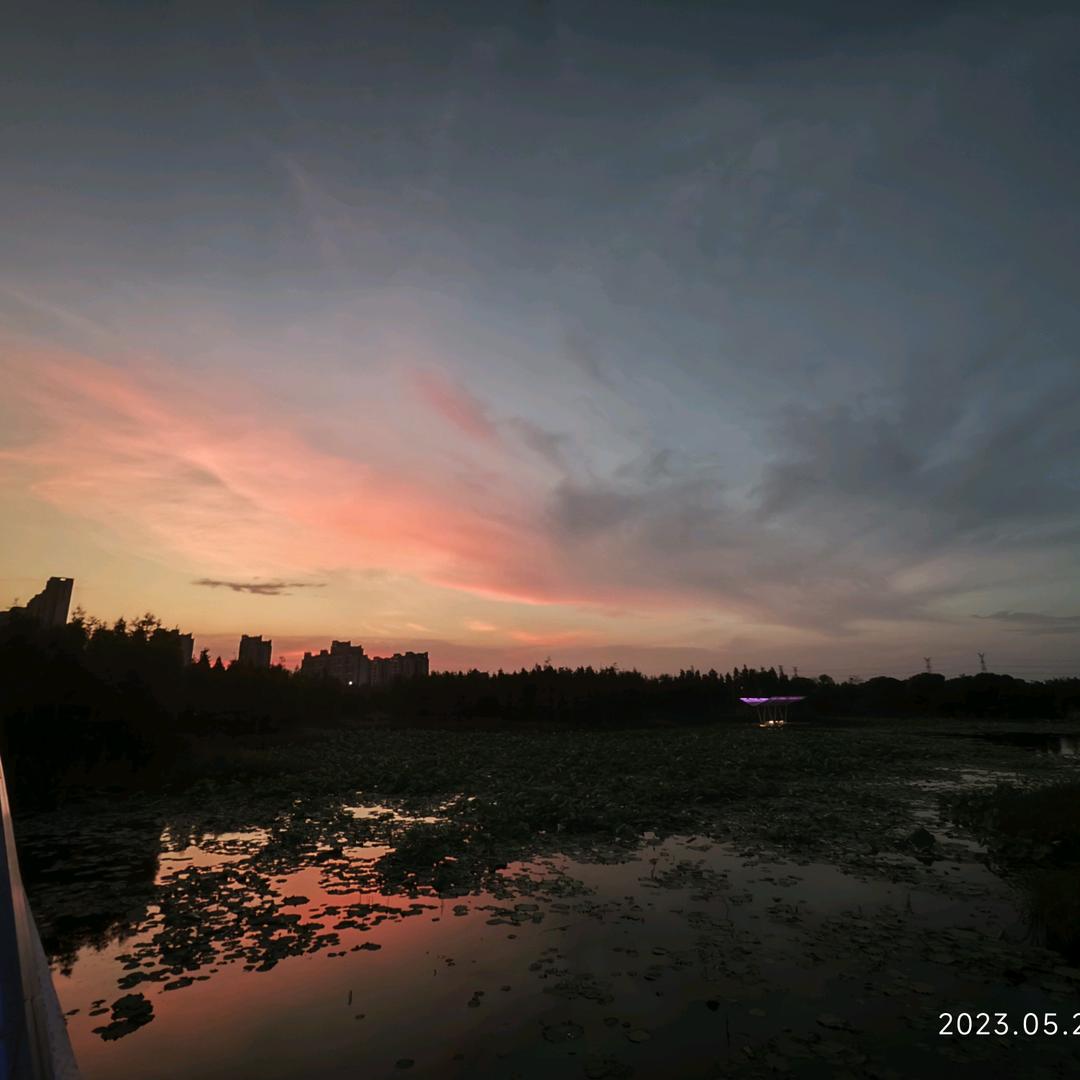 凉皮不要放豆芽