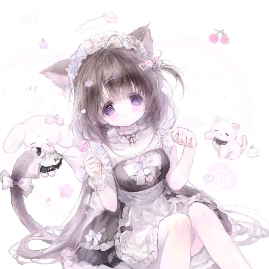 OPL｜星夜