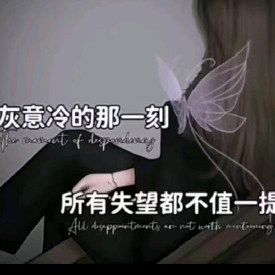 落单的飞鸟