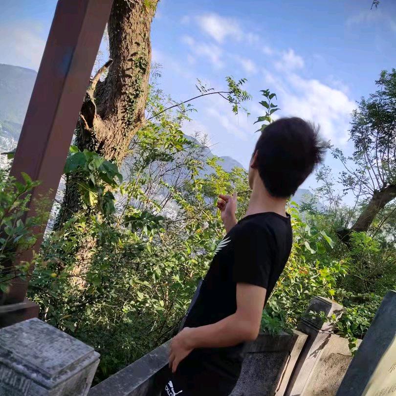 仰望辉煌