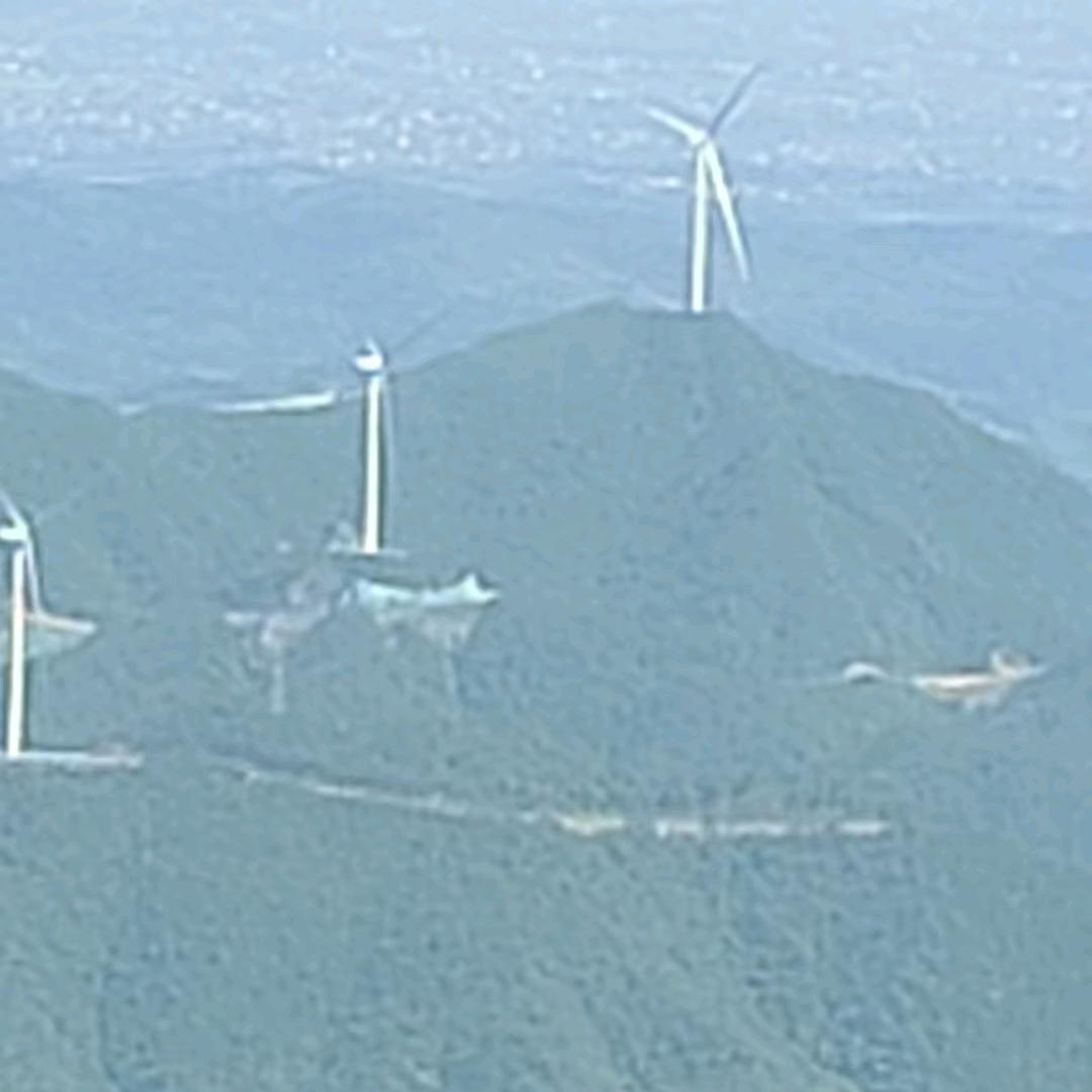景顺肠衣