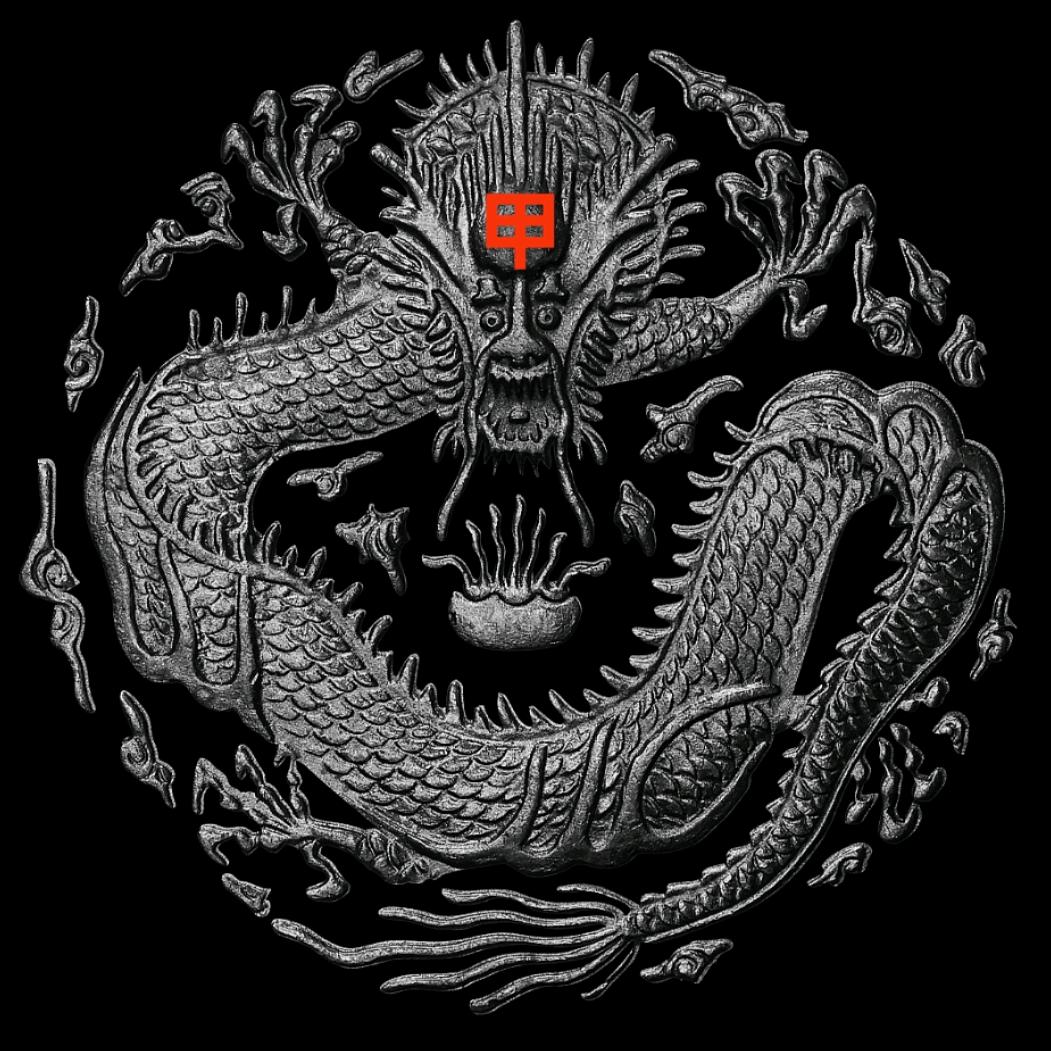 庆阳黑甲