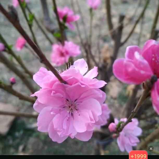 🌴绿水青山💦