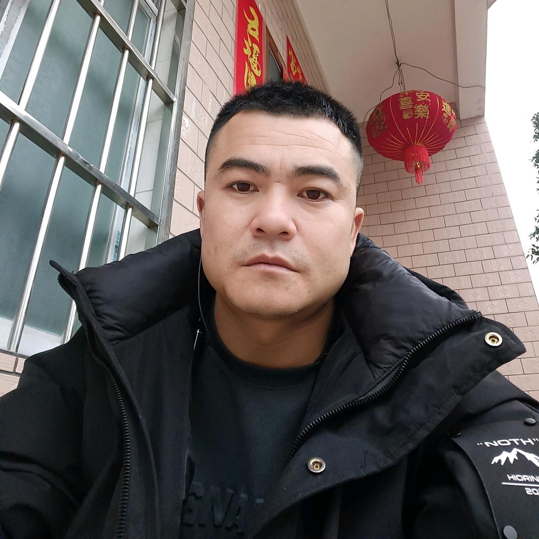 柳州市绿化苗木：杨文科