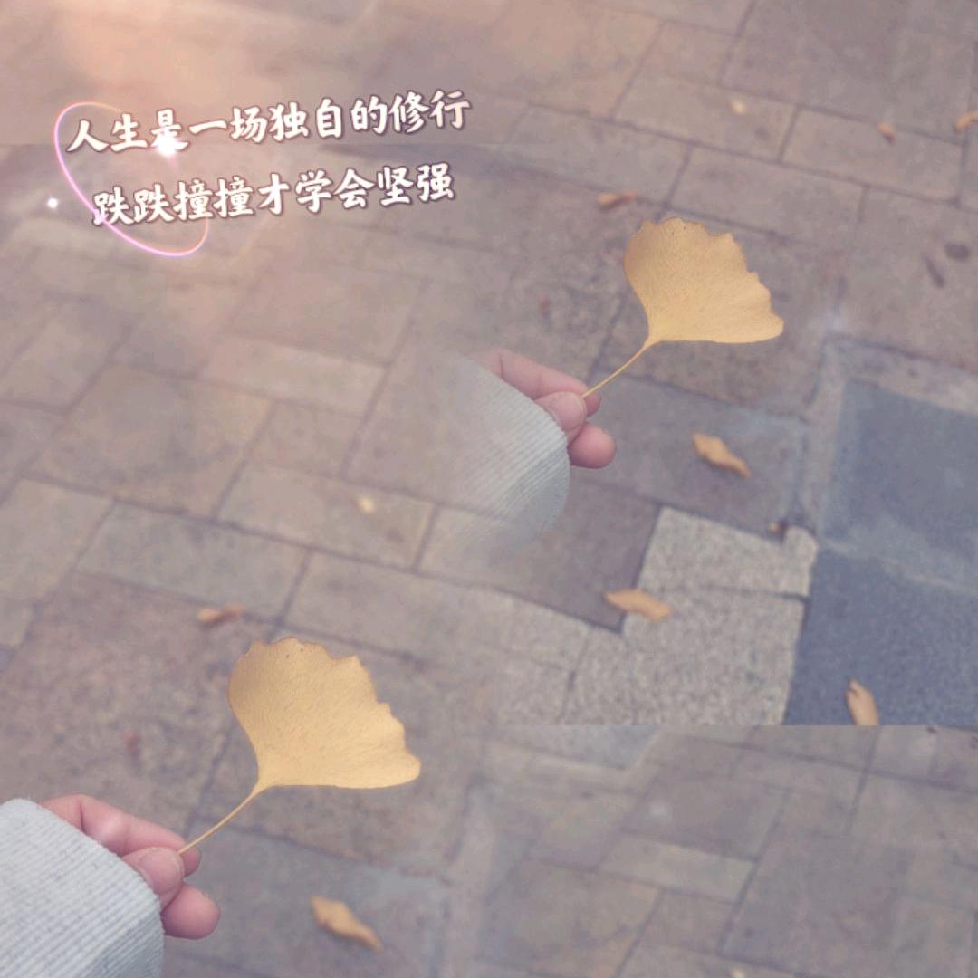 🌷漫煮茶ᥫᩣ༠°