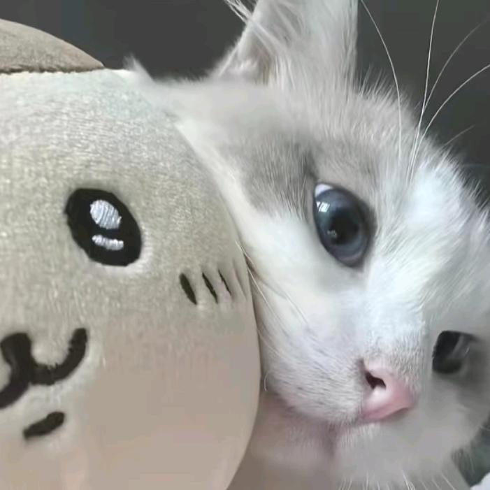 没烦恼