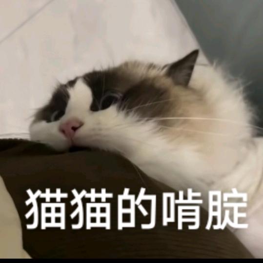 小陈