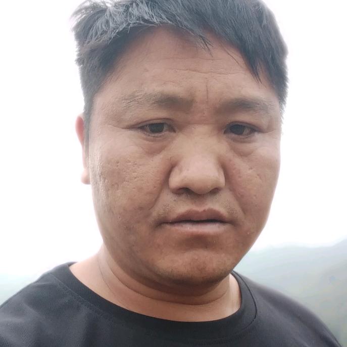 卢小强