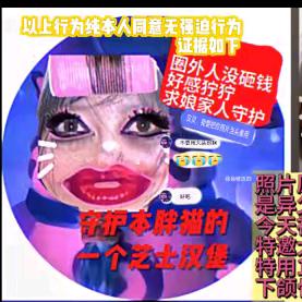 胖如猫