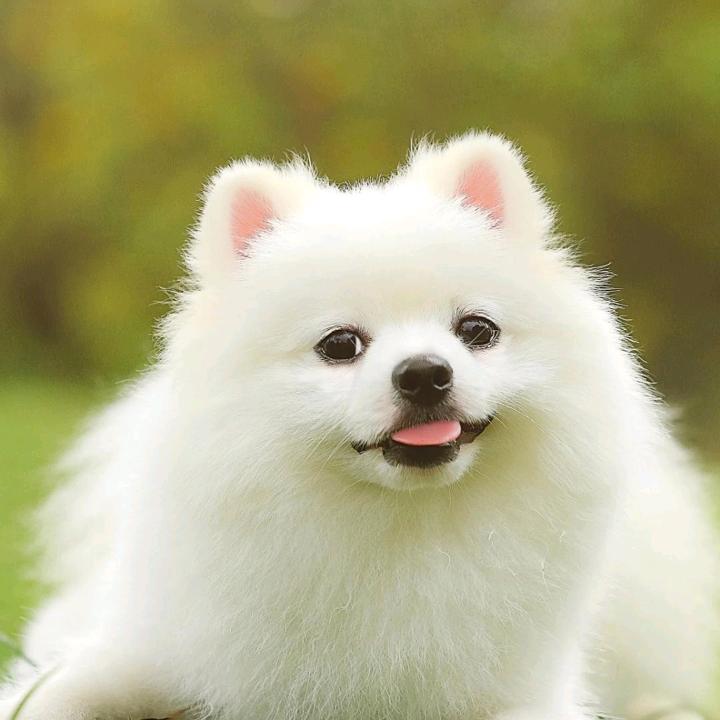 我的乖乖