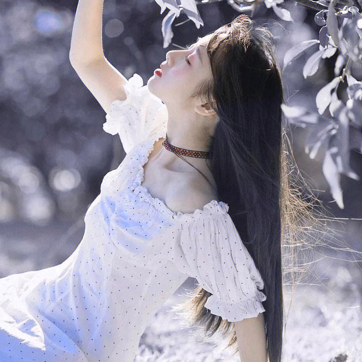 区诗芮禾传媒工作室