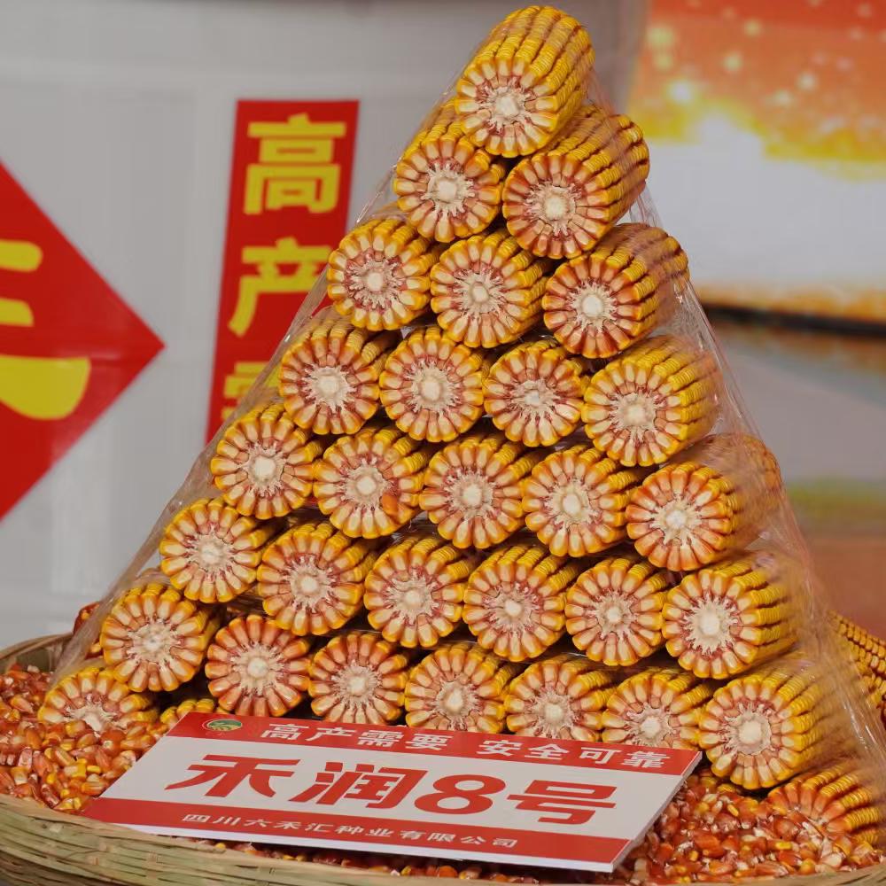 云南同玉小陆