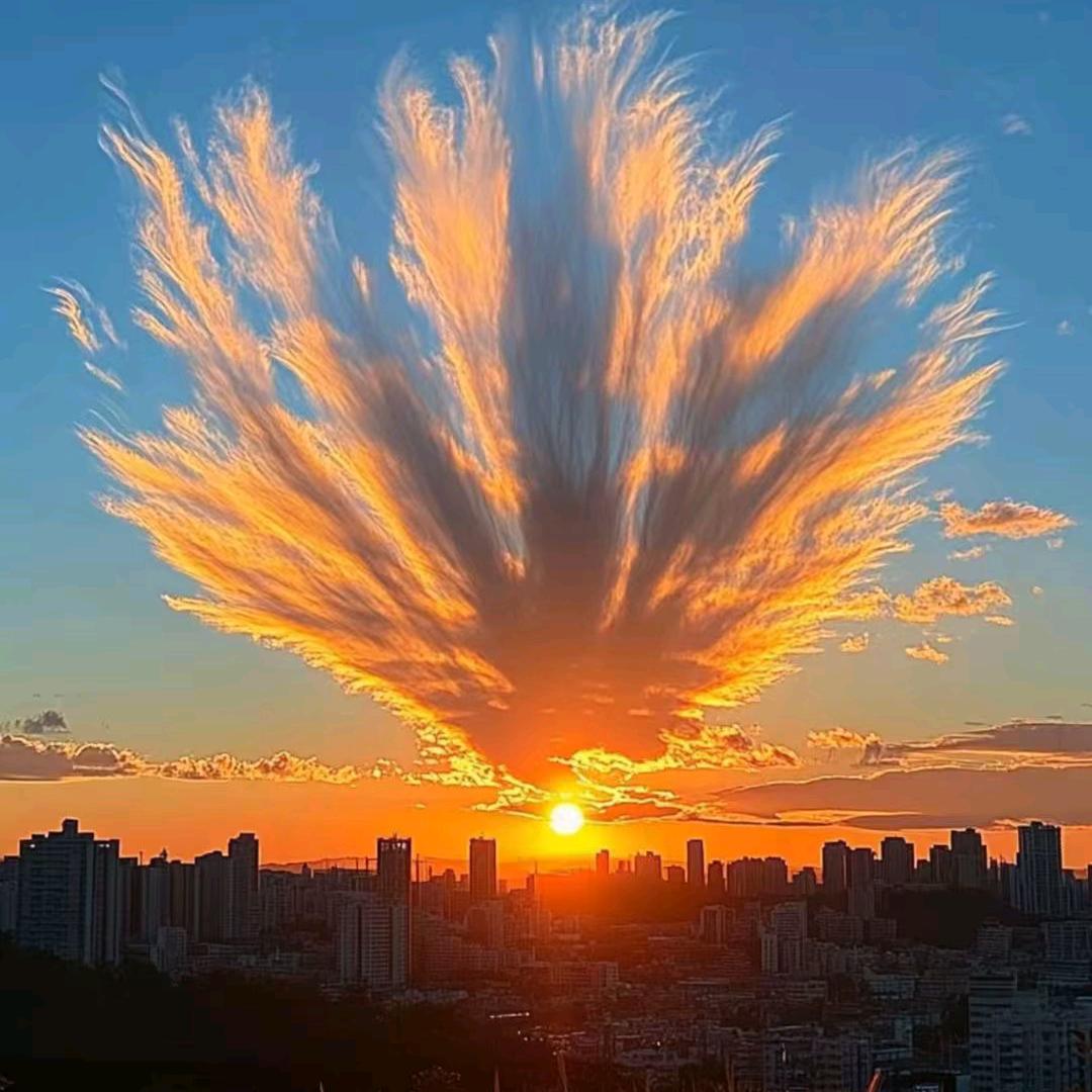 开心快乐每一天