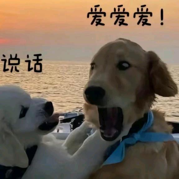 电焊工不伤心