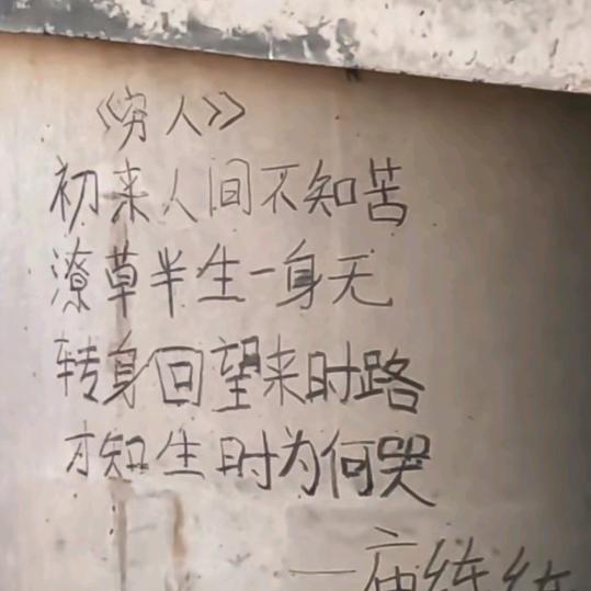 大黑耗子