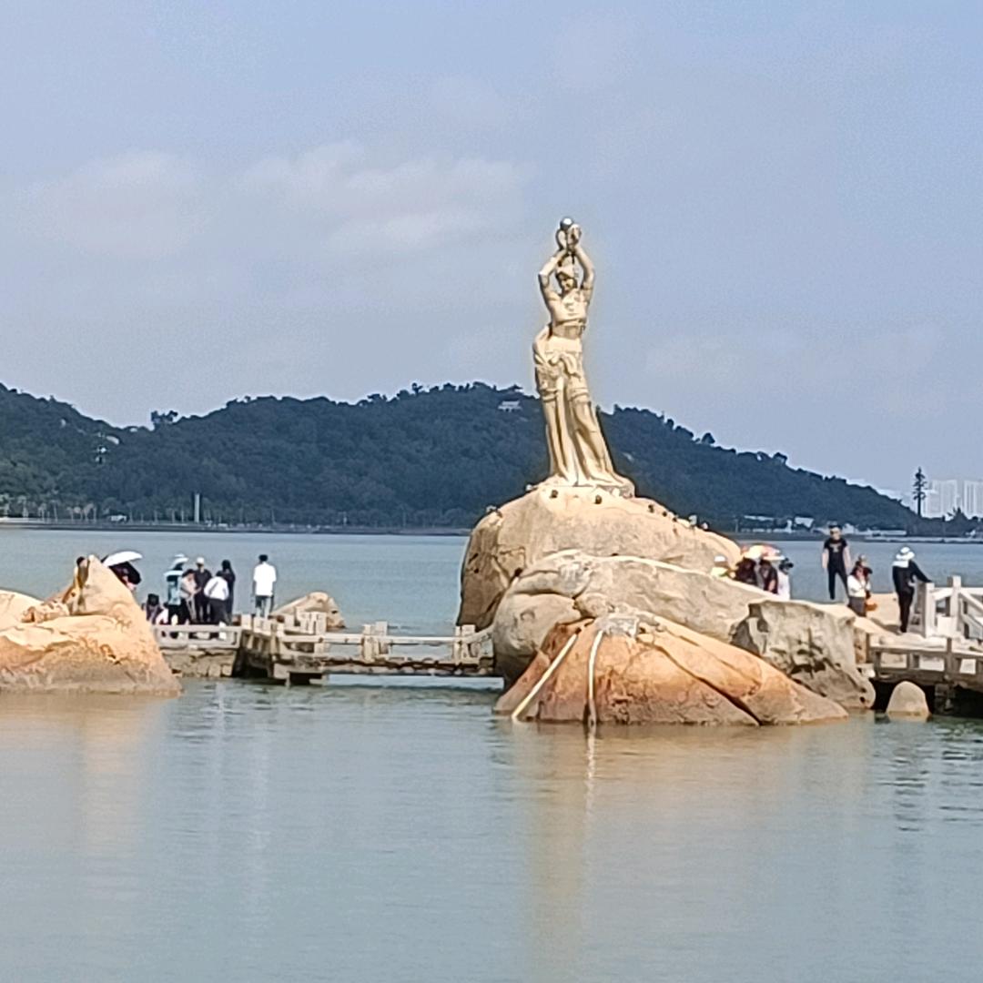 毛羽飞扬