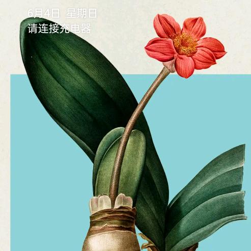 湖南省邵阳县(惠农政策宣传人)