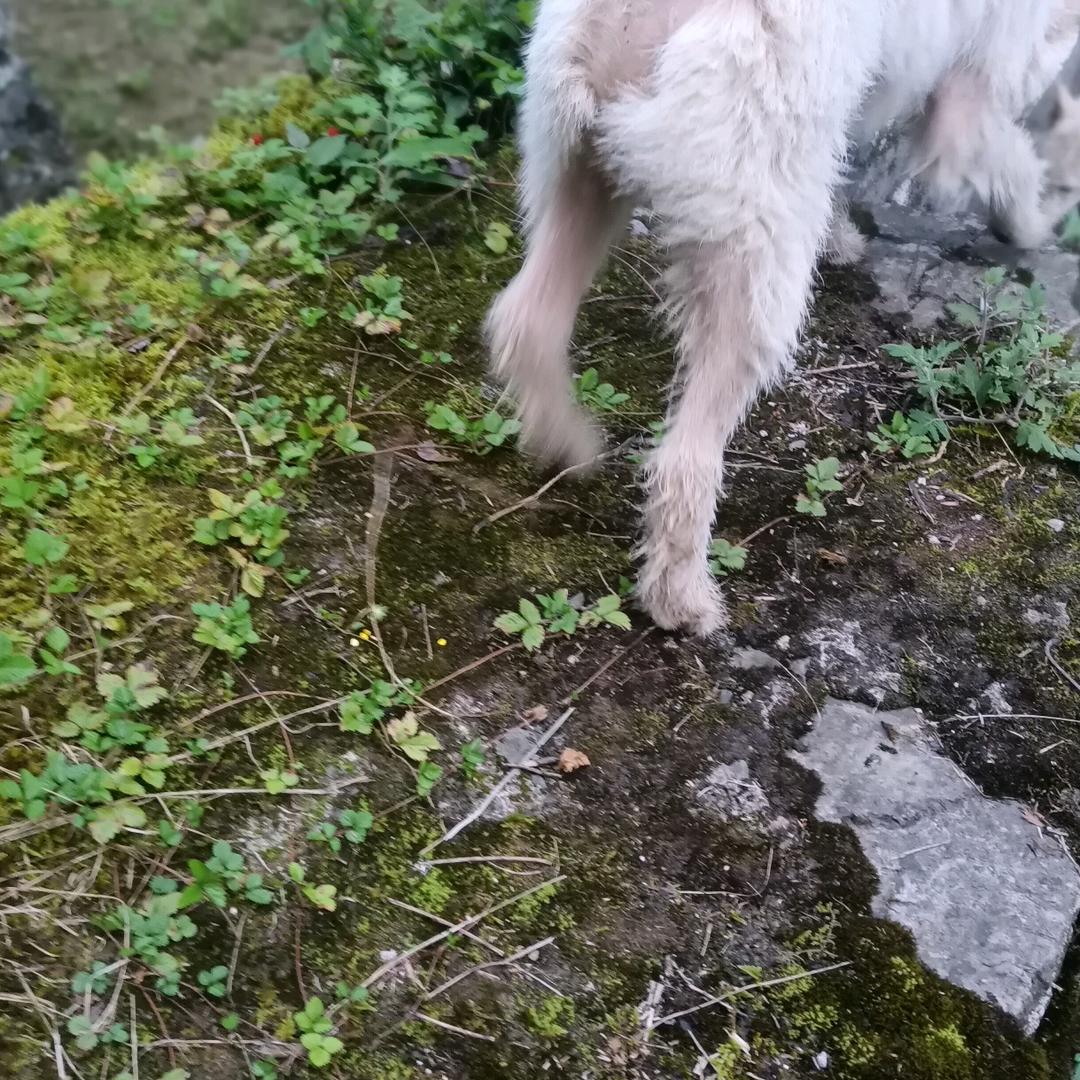 用户9138744394923  ？