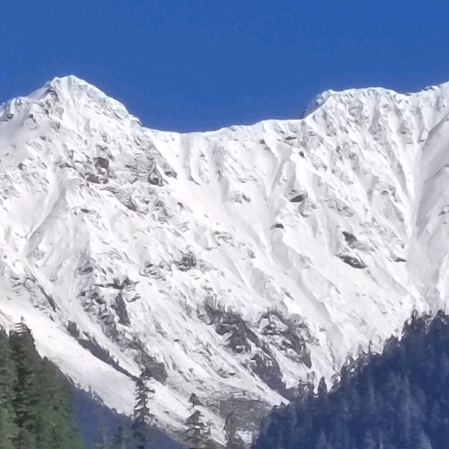 养（杨）你一辈子