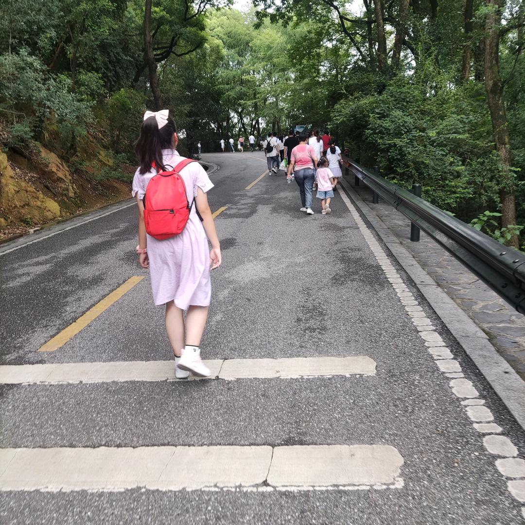 芒果不忙