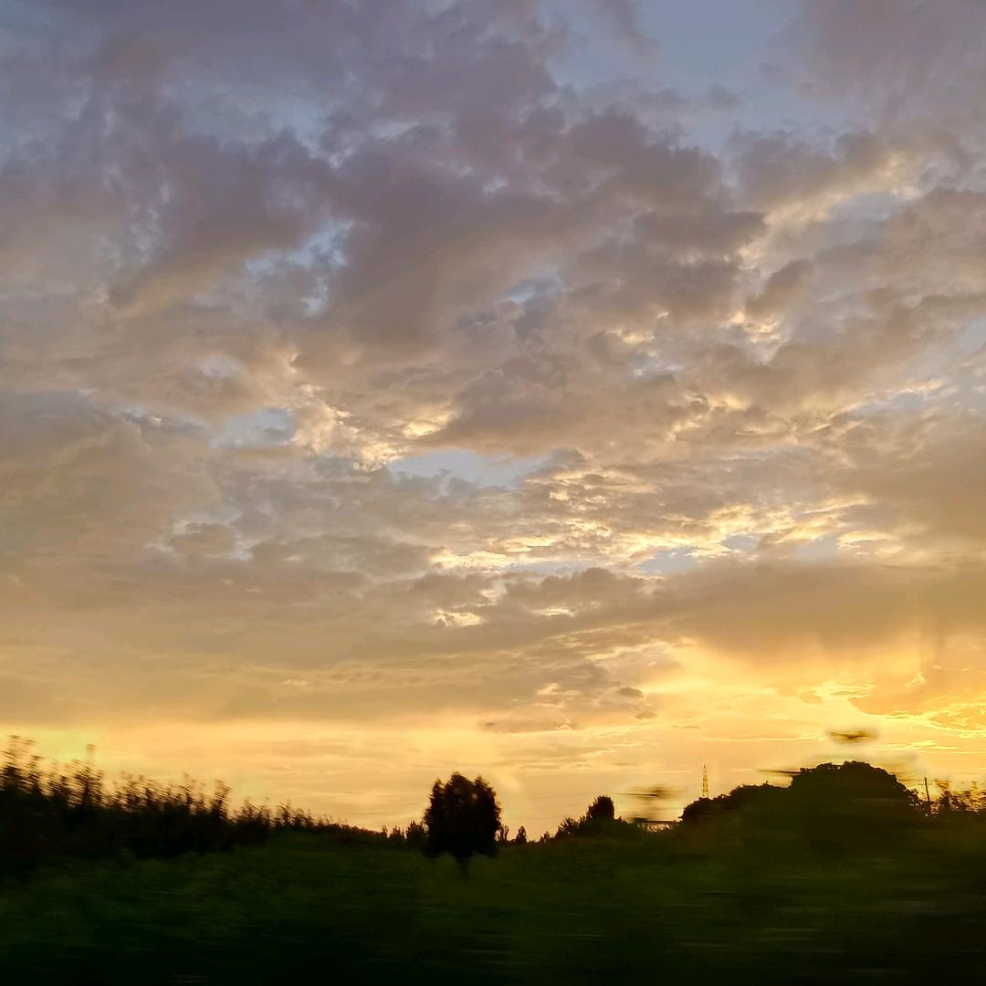 🎀未来-可期🎀