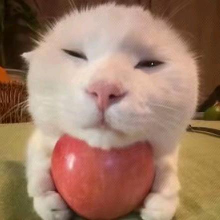 🤓