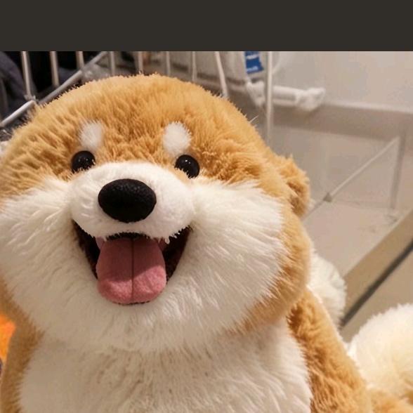 吃饱蹲又蹲