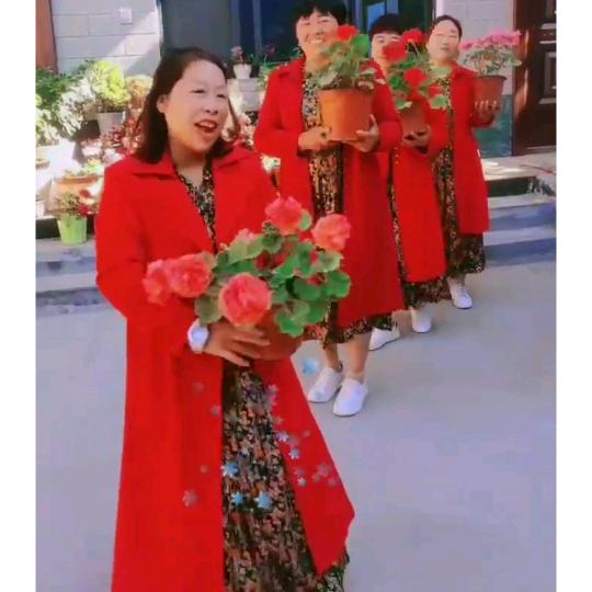 潇洒走一回4034