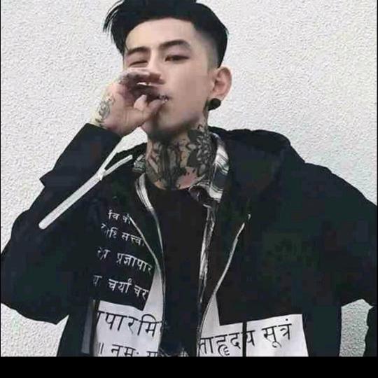 随手摘星辰