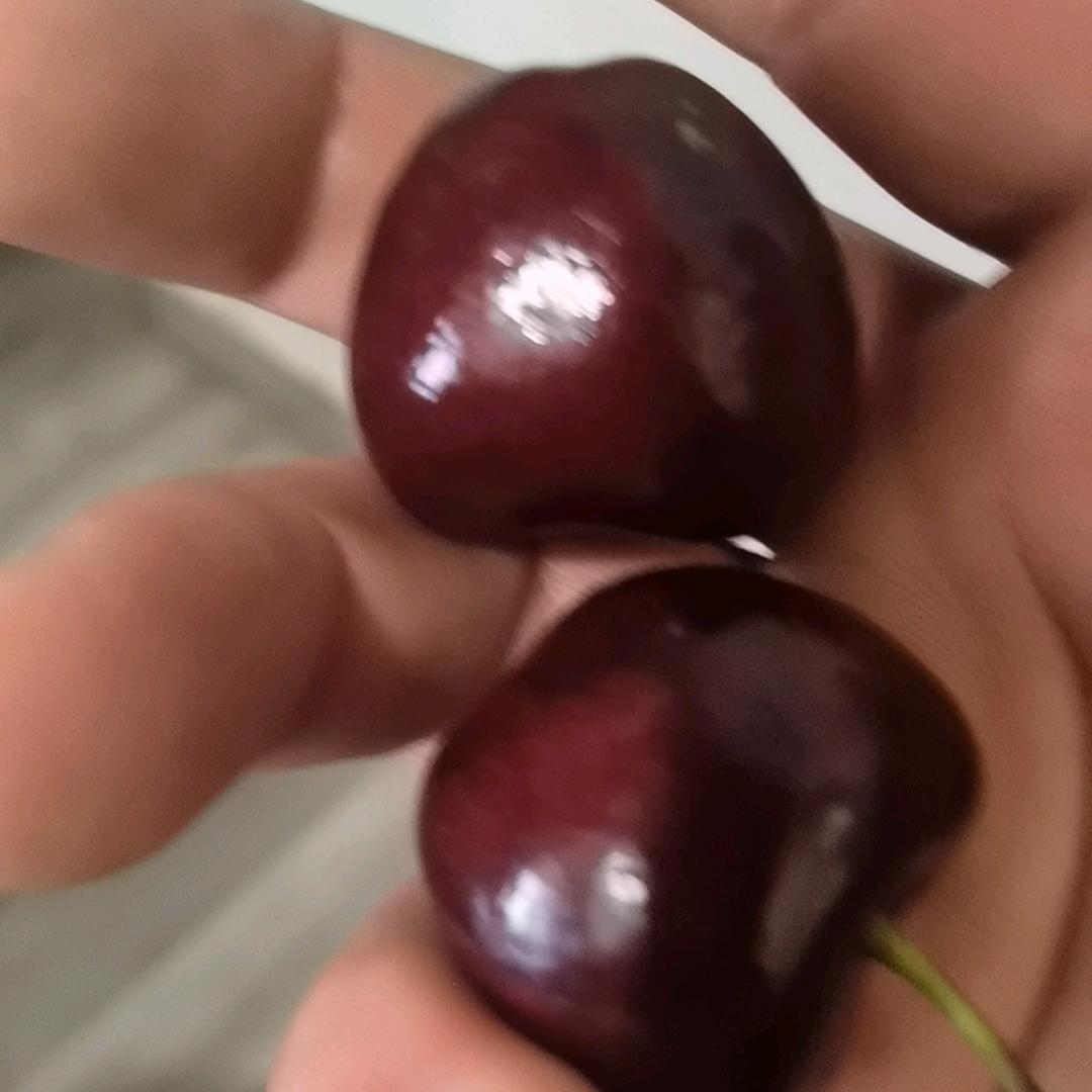 怪我太贪心