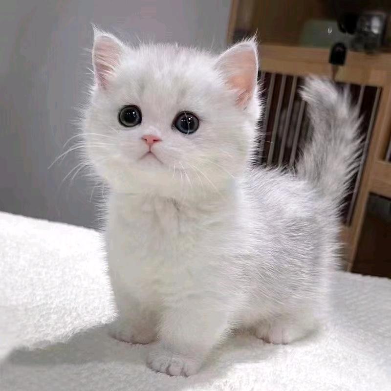 5💋20᭄纯天然蜂蜜🦋꧔ꦿ᭄💞