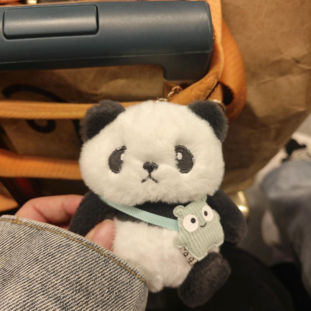橙子皮