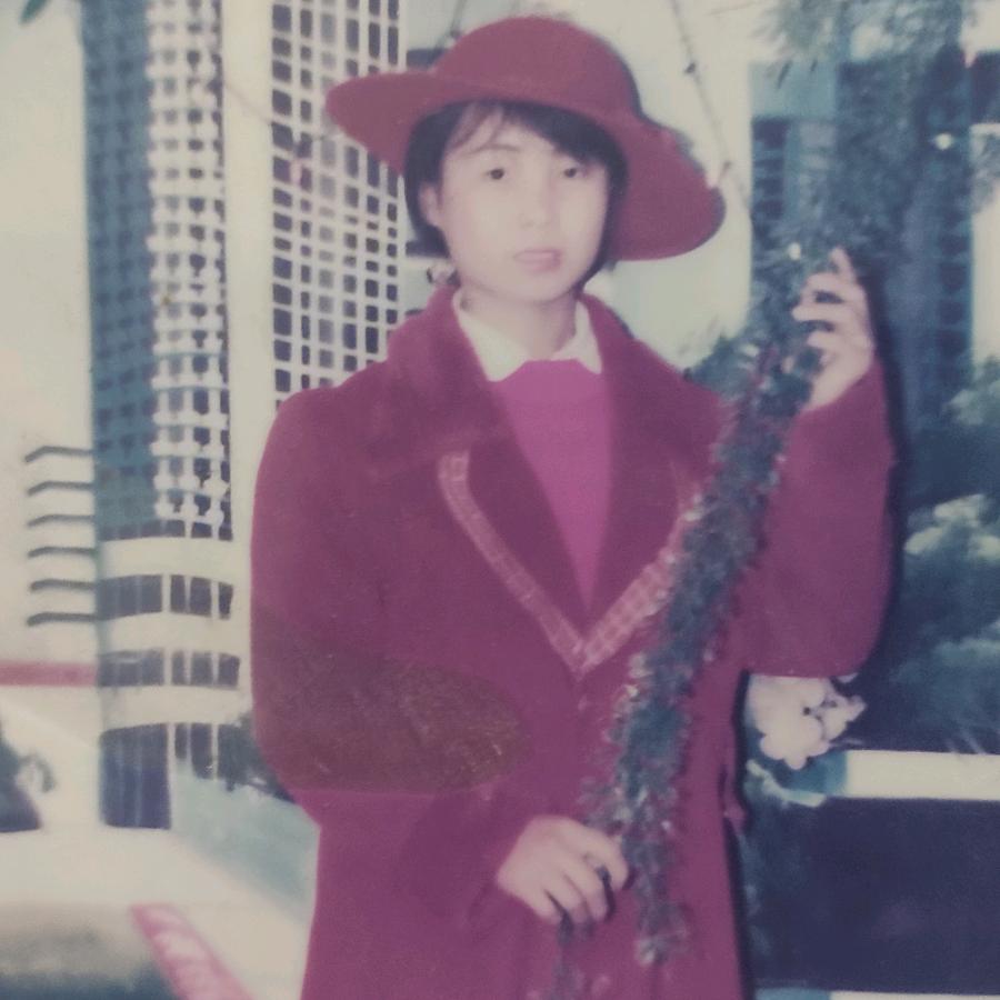 莲花