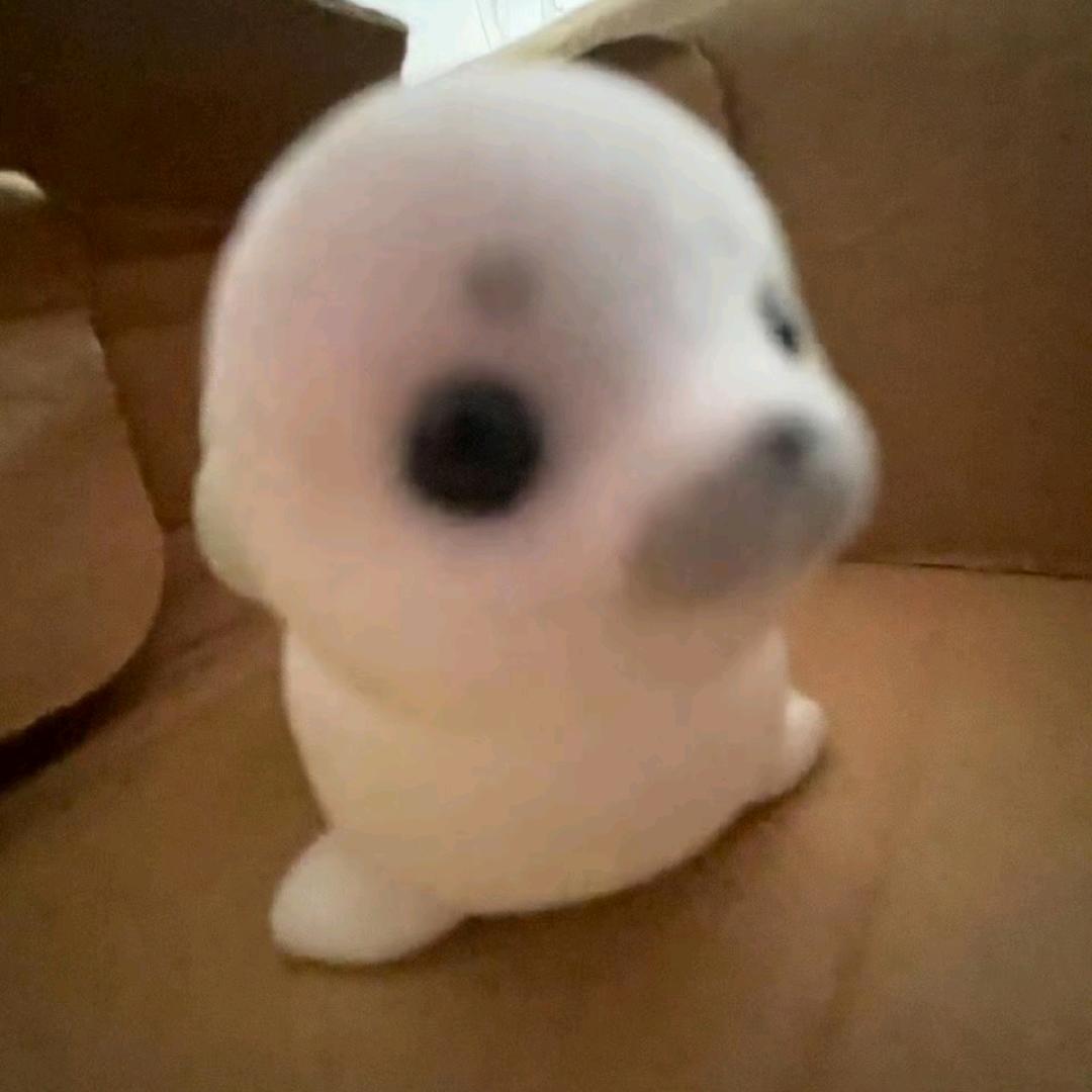 海地酱油抽抽抽