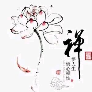 林泉师兄霖