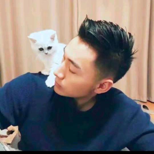 小乔