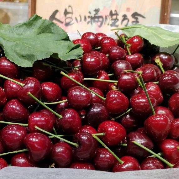 廉贻镇华子果业