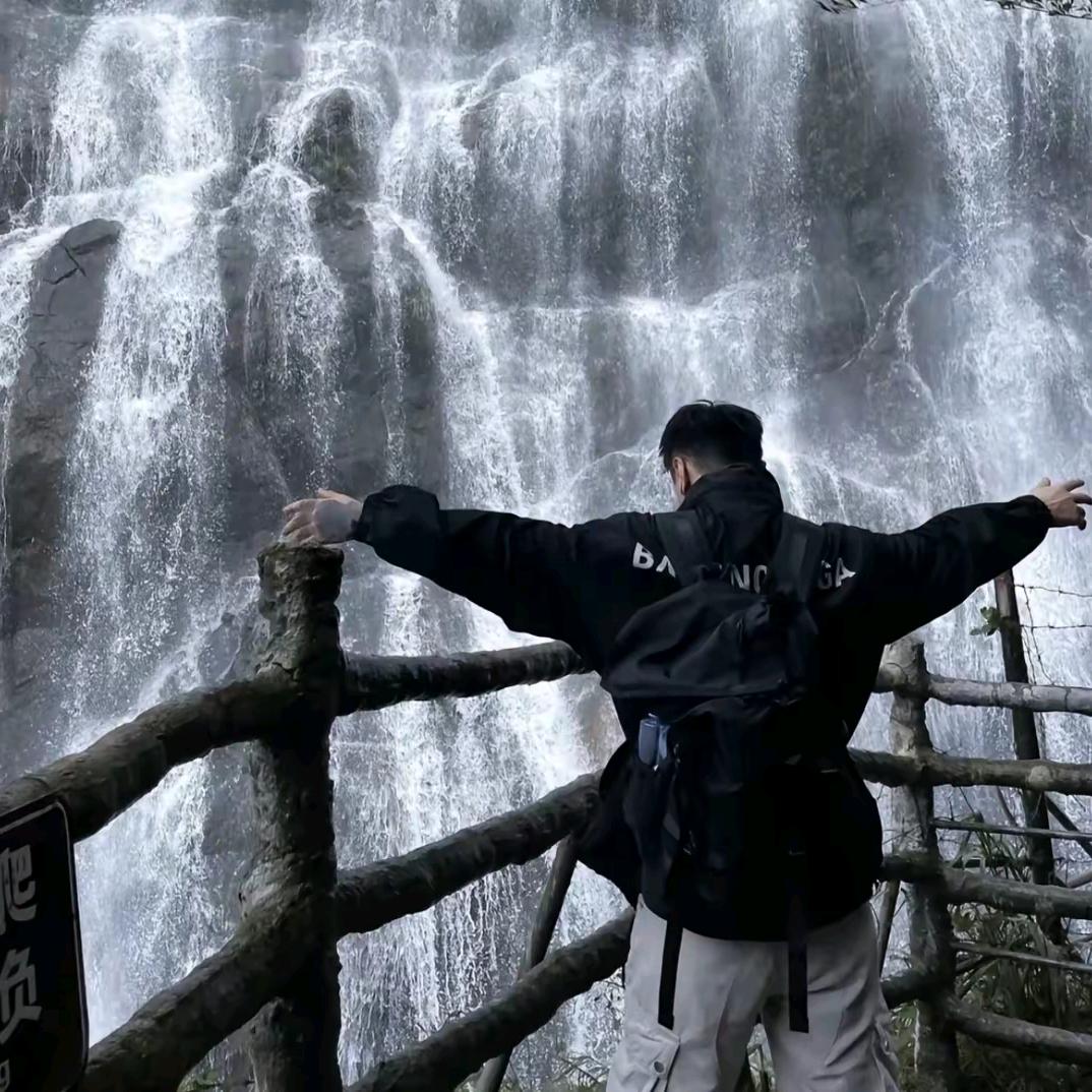 我想变成一只大雁。