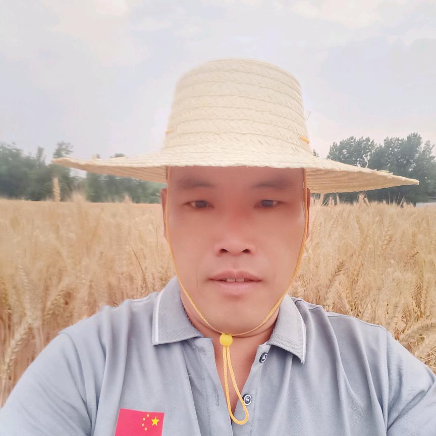 朝哥（马庄寨农资）