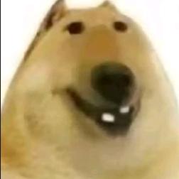 魚